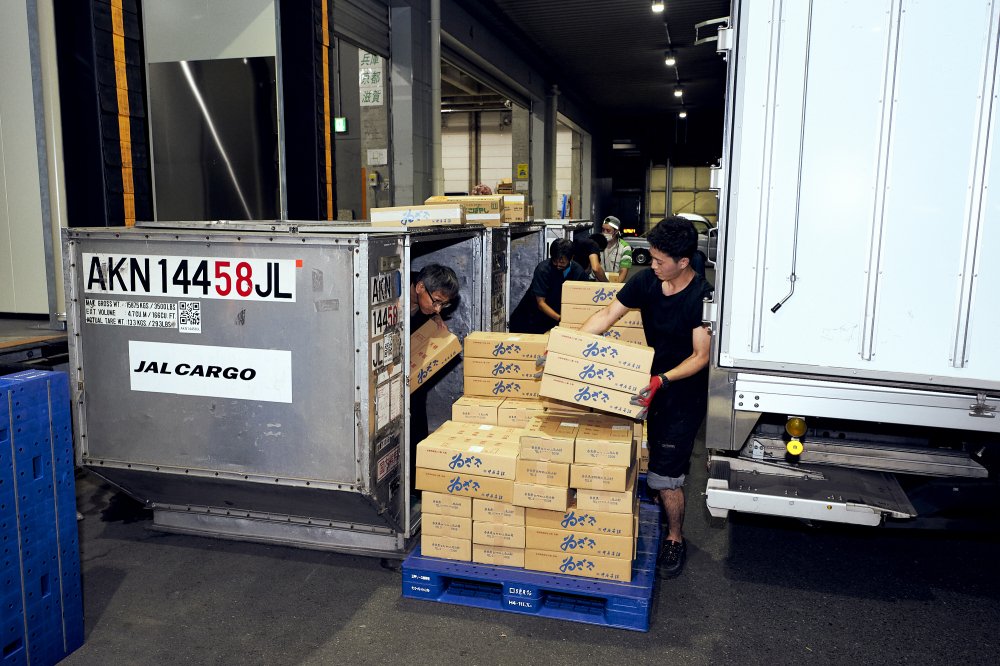 200918_GLT049.jpg