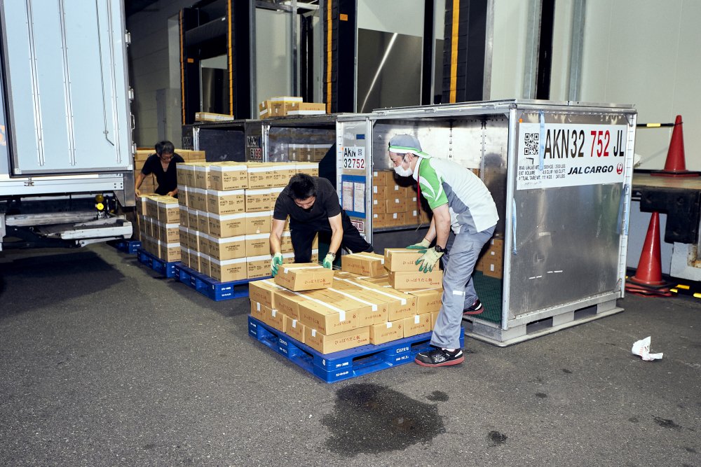 200918_GLT059.jpg